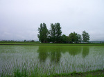 0610-031.jpg