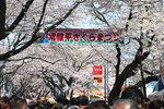 20100403_6.jpg