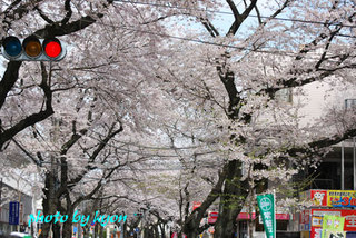 20110410_2.jpg