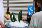 20110410_20.jpg