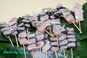 20110410_21.jpg