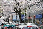 20110410_3.jpg