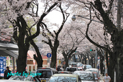 20110410_7.jpg