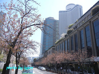 20110414_1.jpg