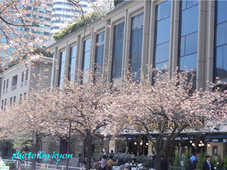 20110414_2.jpg