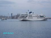 20110502_k11.jpg
